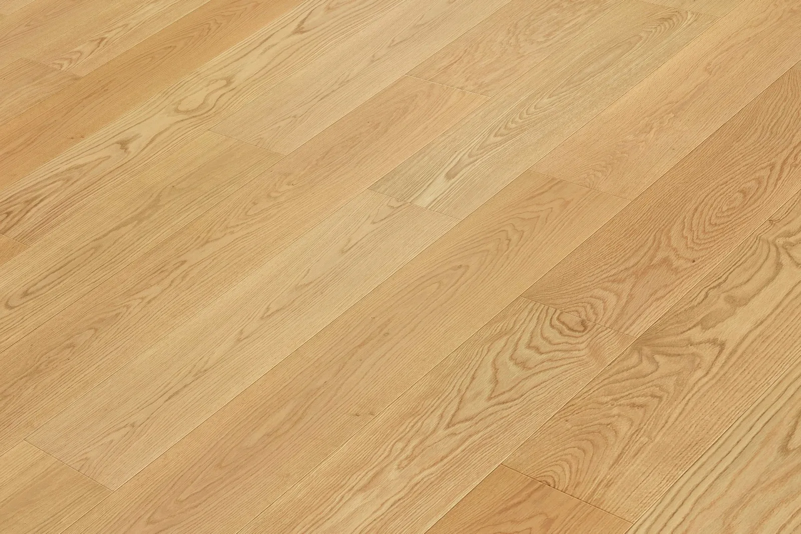 Toulouse room scene 1