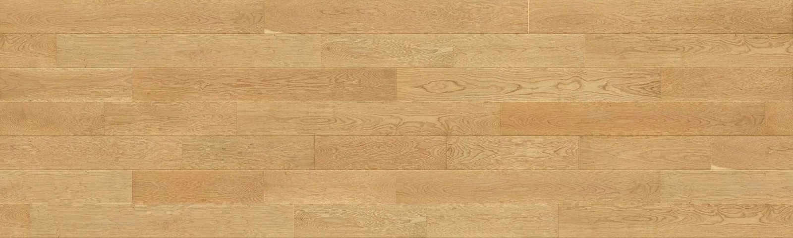 Toulouse room scene 3
