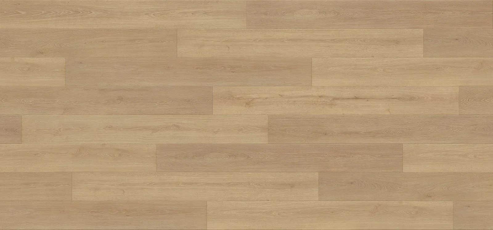 Pallas room scene 7