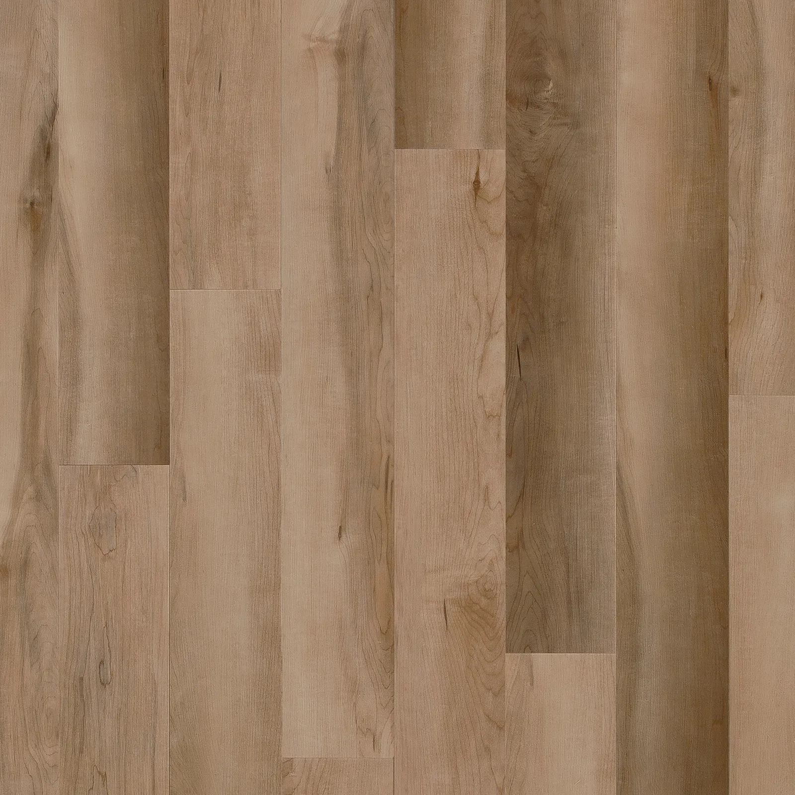 Dawson Maple — COREtec COREtec Originals Classics