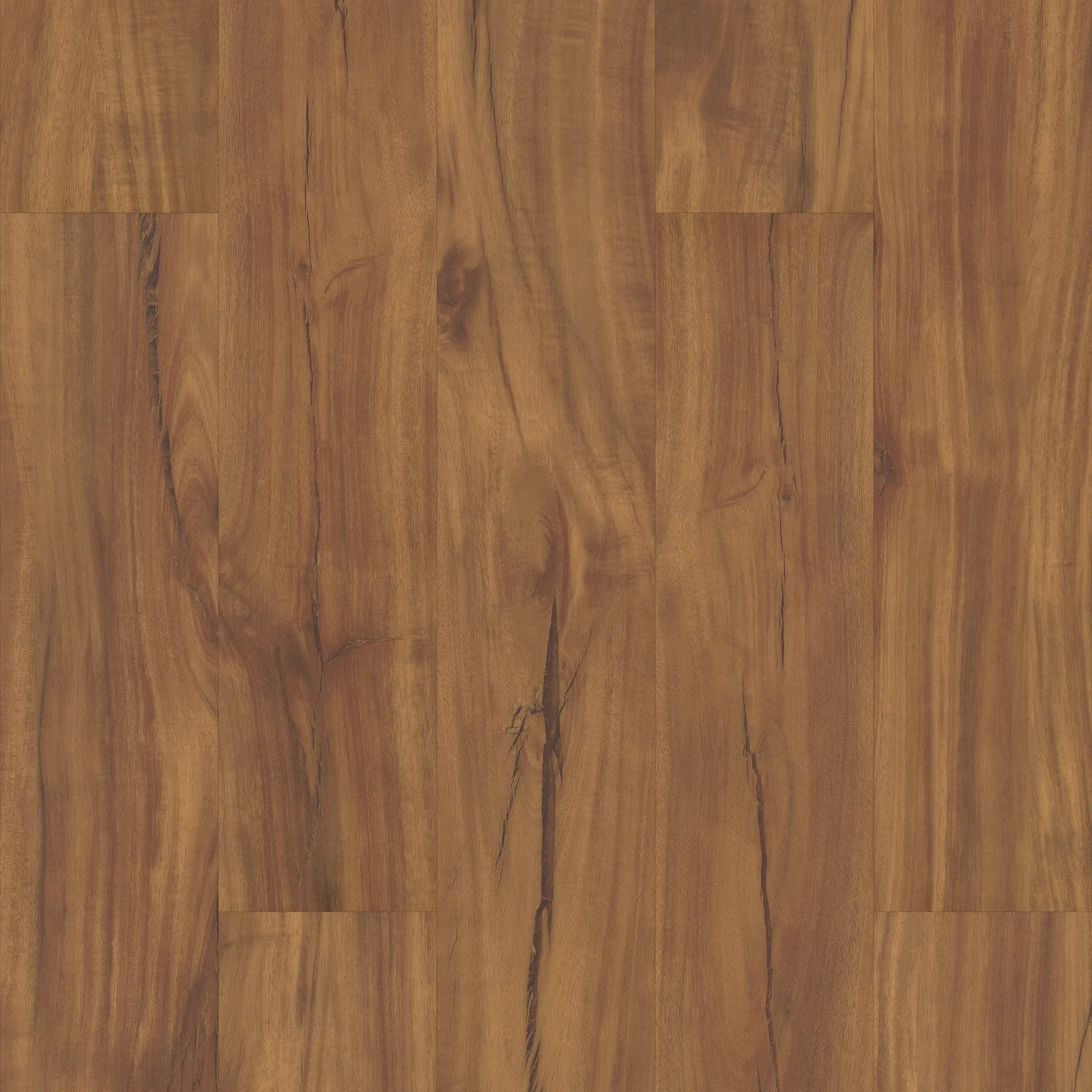 Gold Coast Acacia — COREtec COREtec Originals Classics