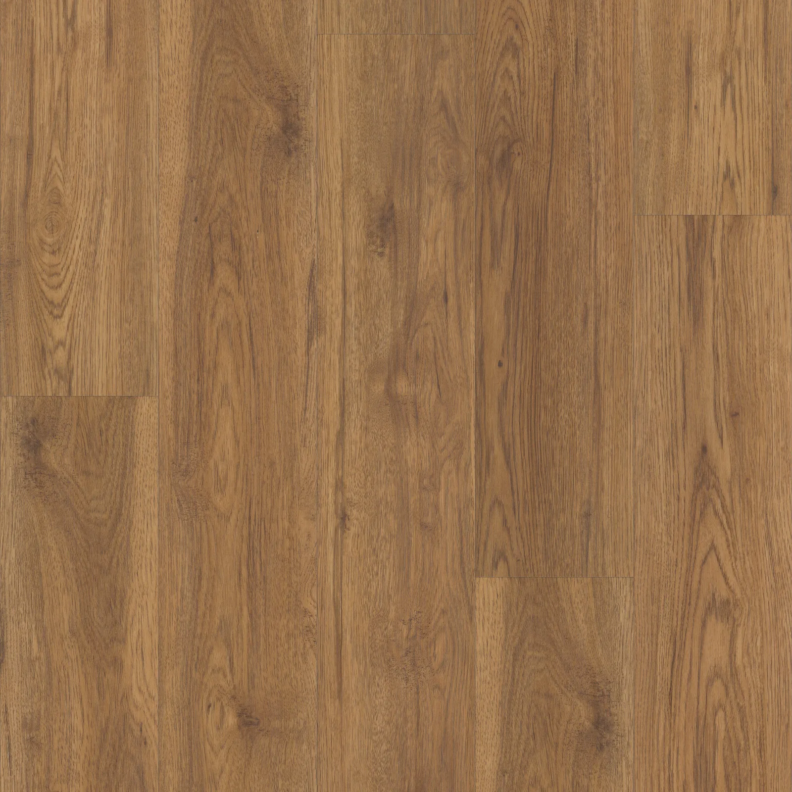 Marsh Oak — COREtec COREtec Originals Classics