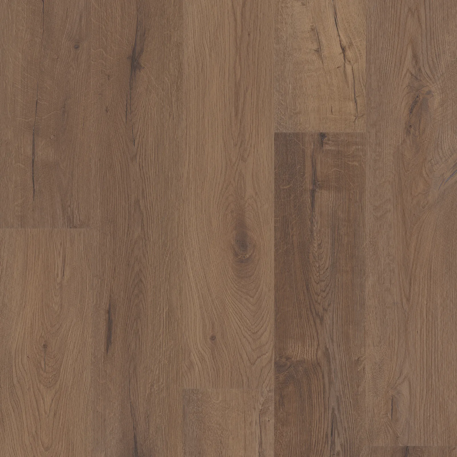 Cerith Oak — COREtec COREtec Originals Premium