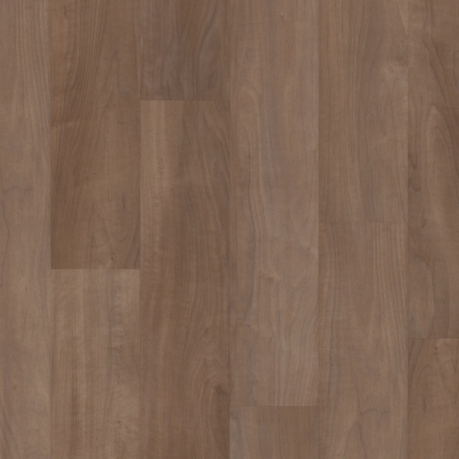 Chromatic Beech — COREtec COREtec Originals Premium