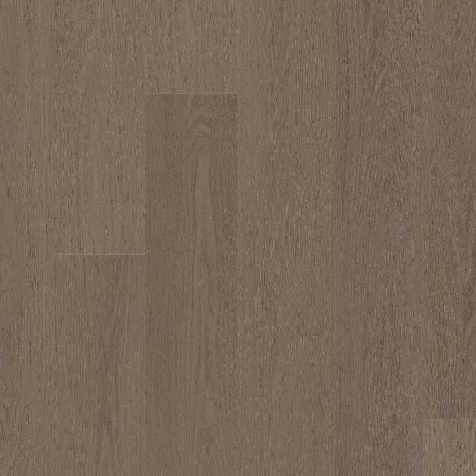 Meditative Oak — COREtec COREtec Originals Premium