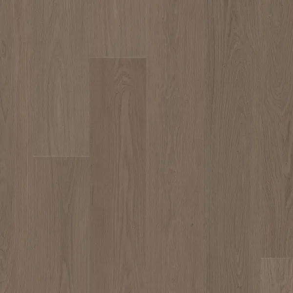 Meditative Oak — COREtec COREtec Originals Premium