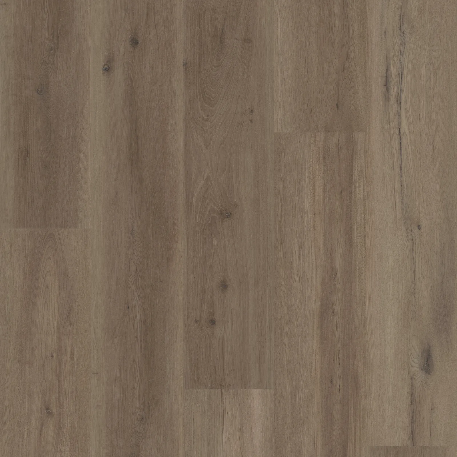 Mist Oak — COREtec COREtec Originals Premium