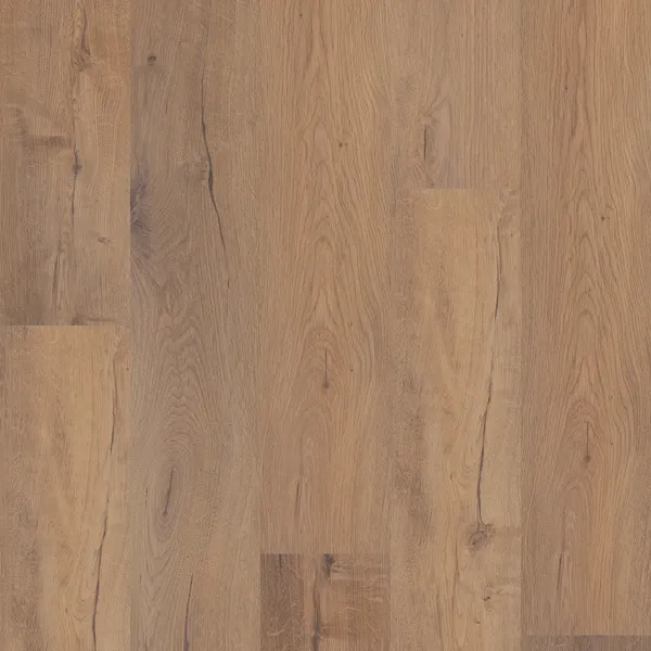 Sand Dollar Oak — COREtec COREtec Originals Premium