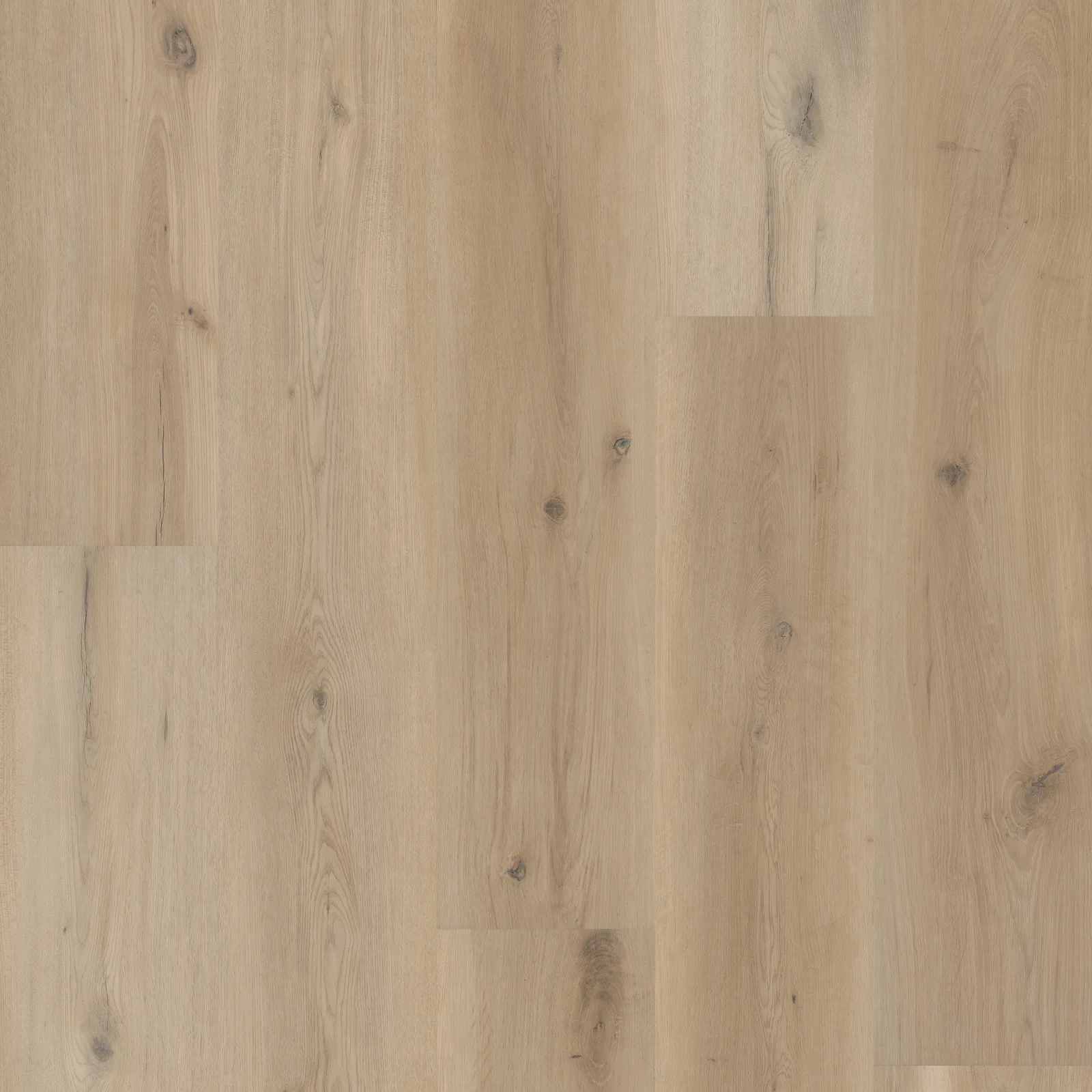 Sea Salt Oak — COREtec COREtec Originals Premium