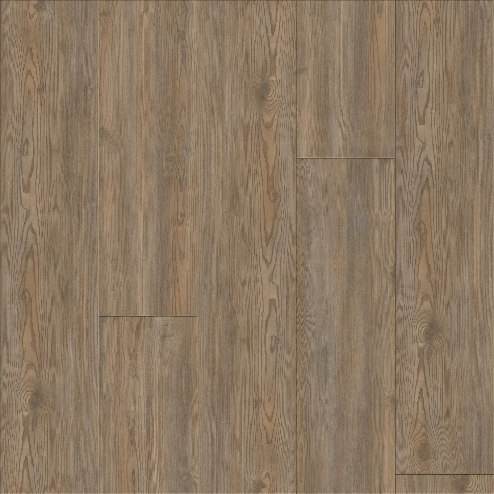 Treasure Pine — COREtec COREtec Originals Premium