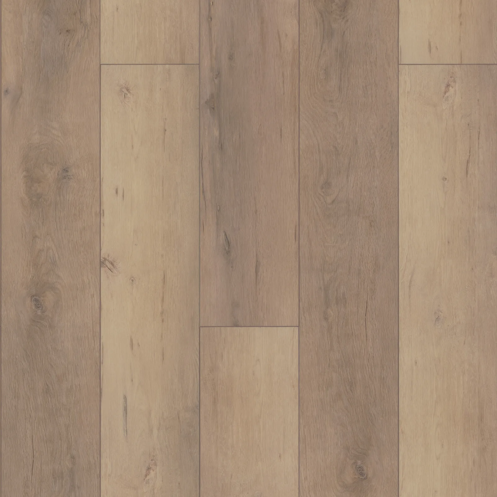 Madrid Oak — COREtec COREtec Pro Enhanced