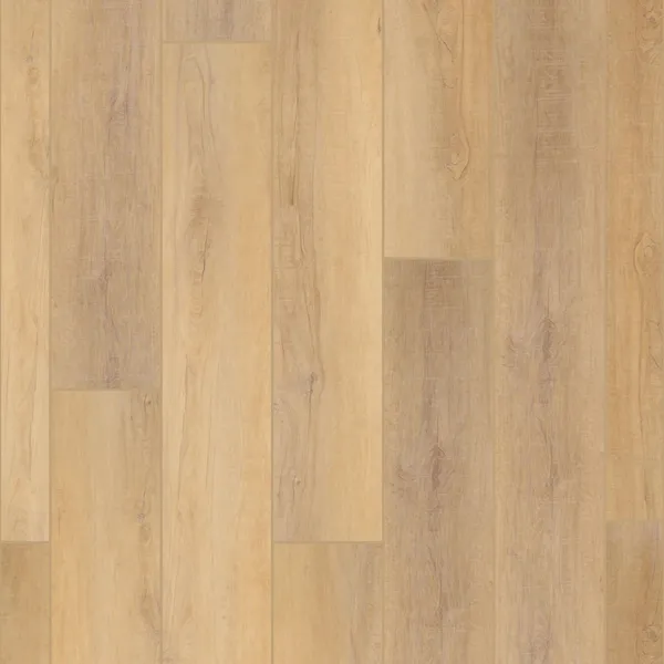 Canterbury Elm — COREtec COREtec Pro Premium