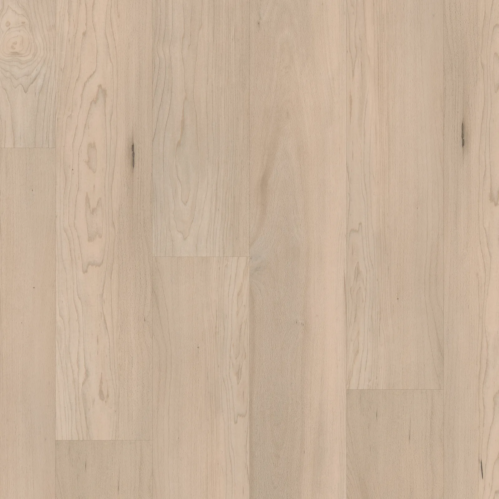 Norfolk Maple — COREtec COREtec Pro Premium