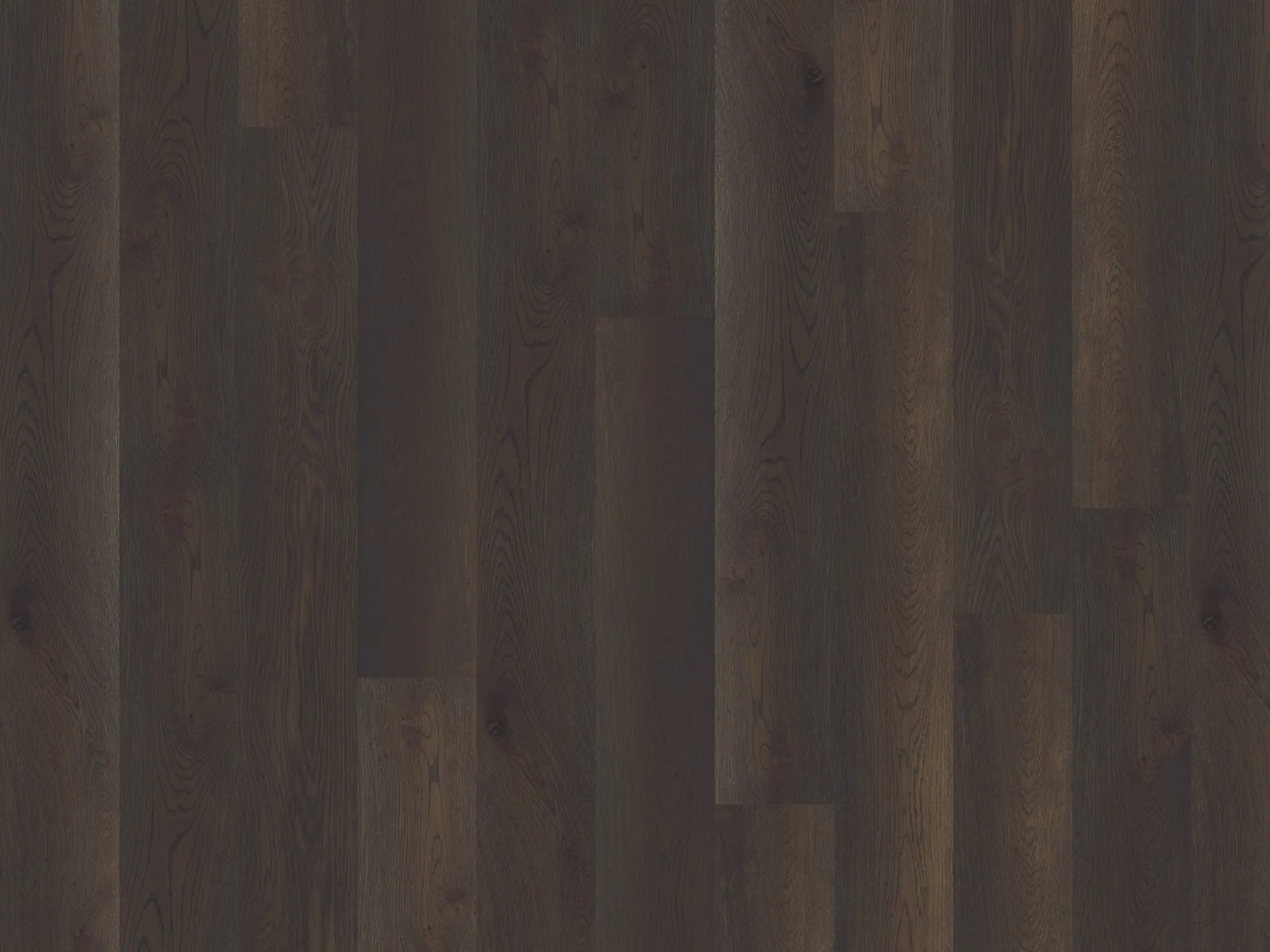 Buran (Plank & Herringbone) — DuChateau Global Winds Collection