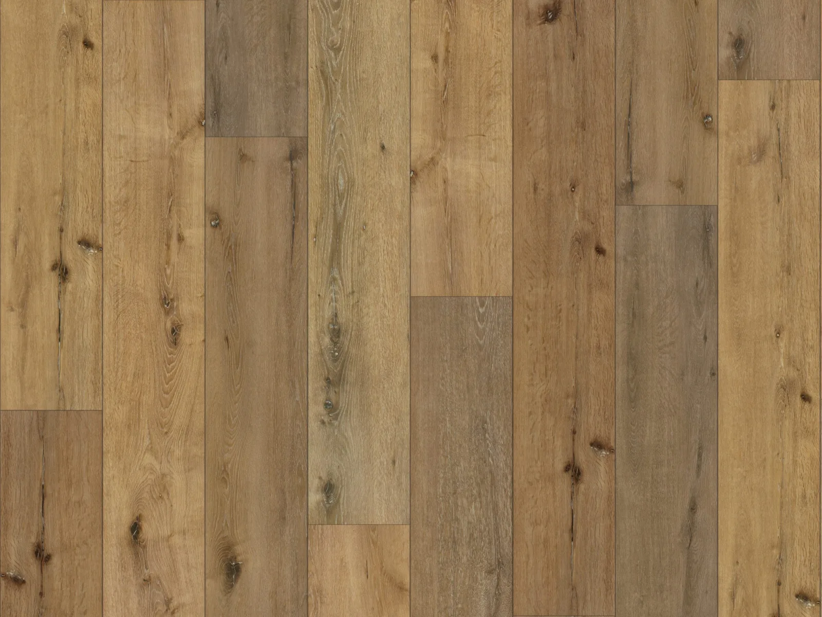 Youngscombe — DuChateau LuxeTech