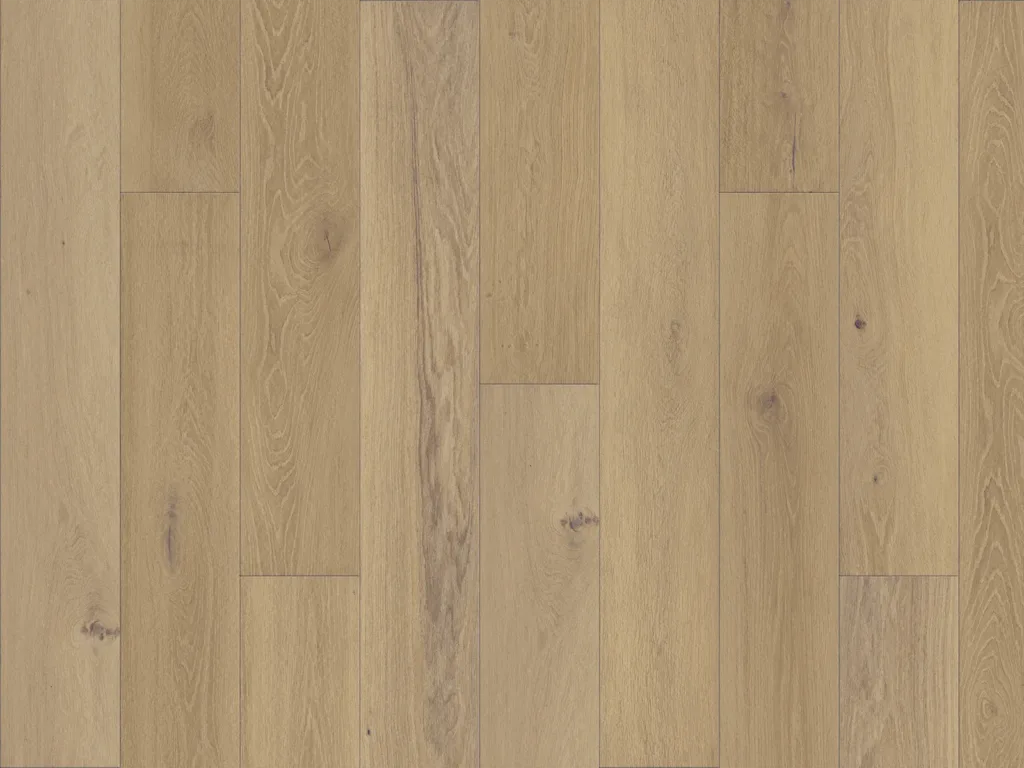 Solenne — DuChateau Portfolio Edition