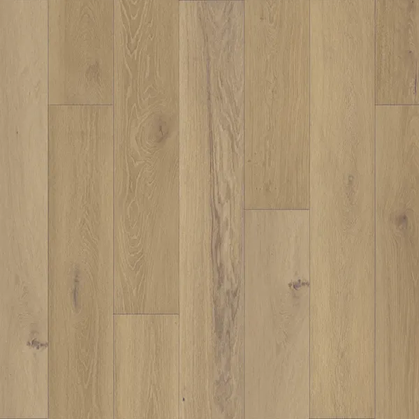 Solenne — DuChateau Portfolio Edition