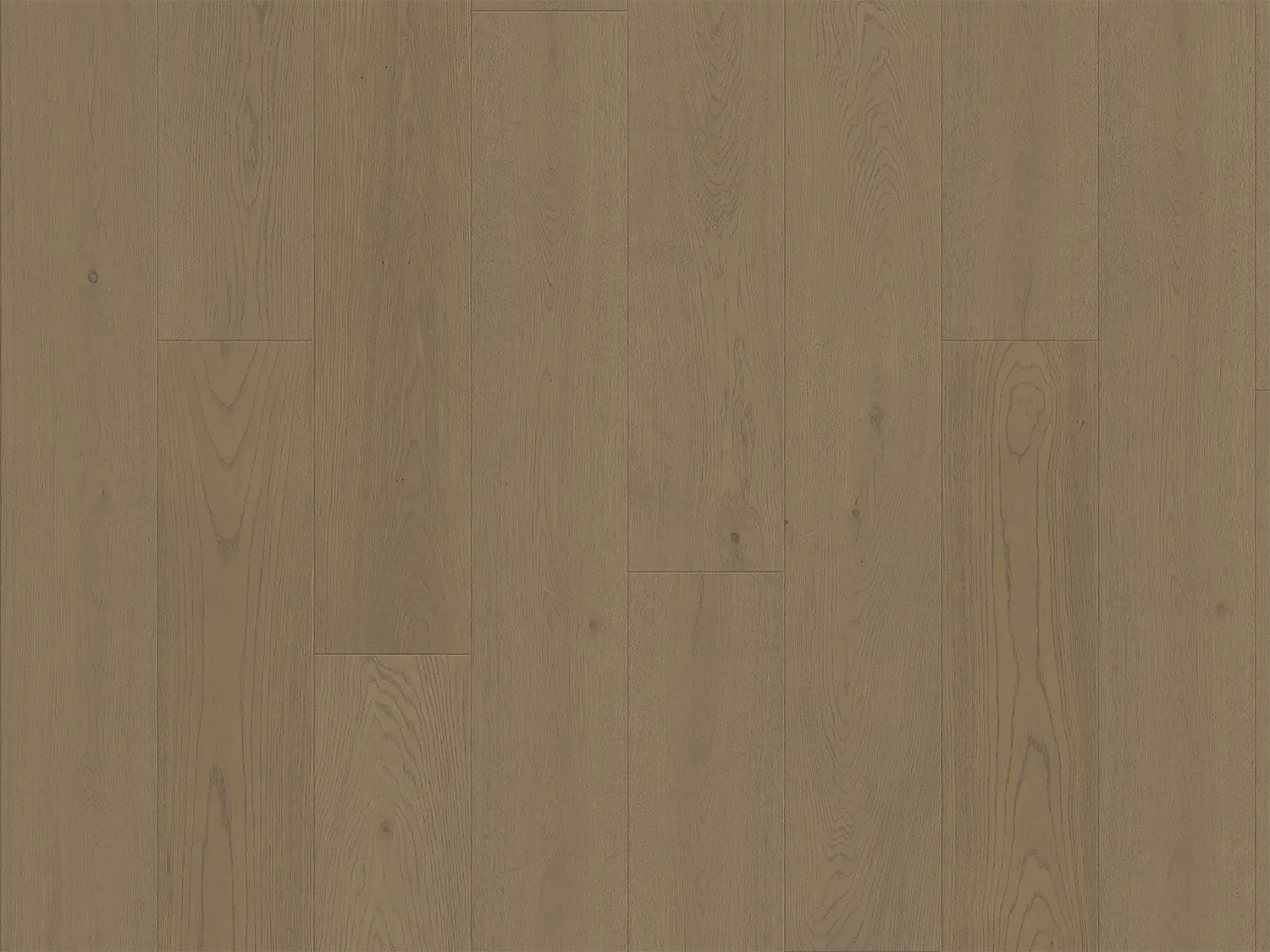 Moyn — DuChateau Societe Collection