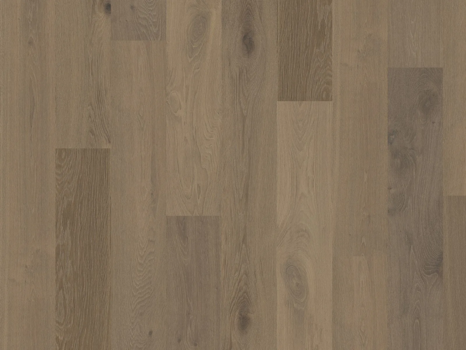 Chaparral (Plank & Herringbone) — DuChateau Terra Collection