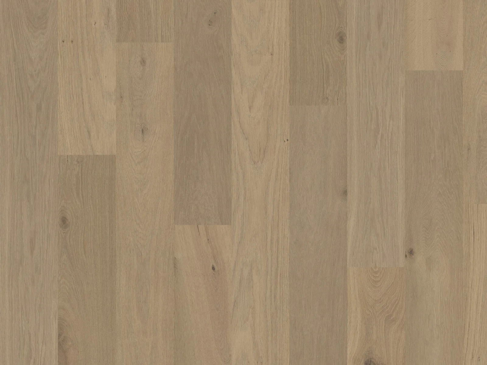 Savanna (Plank & Herringbone) — DuChateau Terra Collection