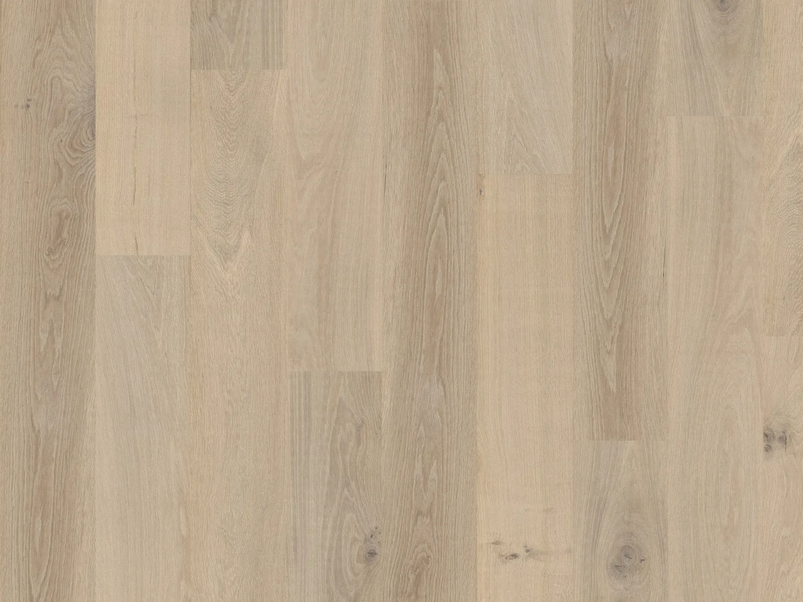 Taiga (Plank & Herringbone) — DuChateau Terra Collection