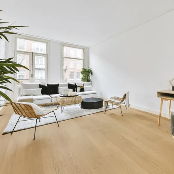 Saddle — Dukes Group Inspire
