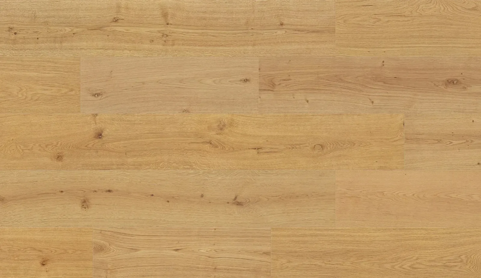 Bellevue — En Bois Brittany