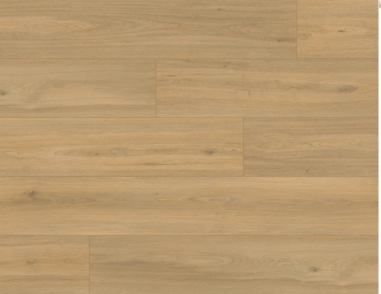 Vineyard — En Bois Sundance