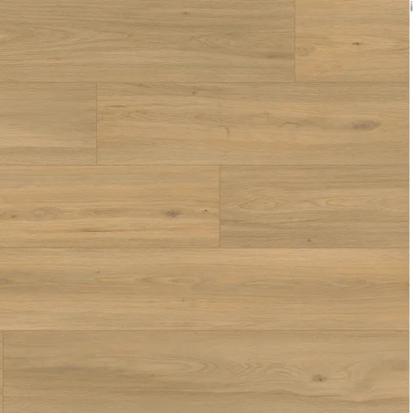 Vineyard — En Bois Sundance