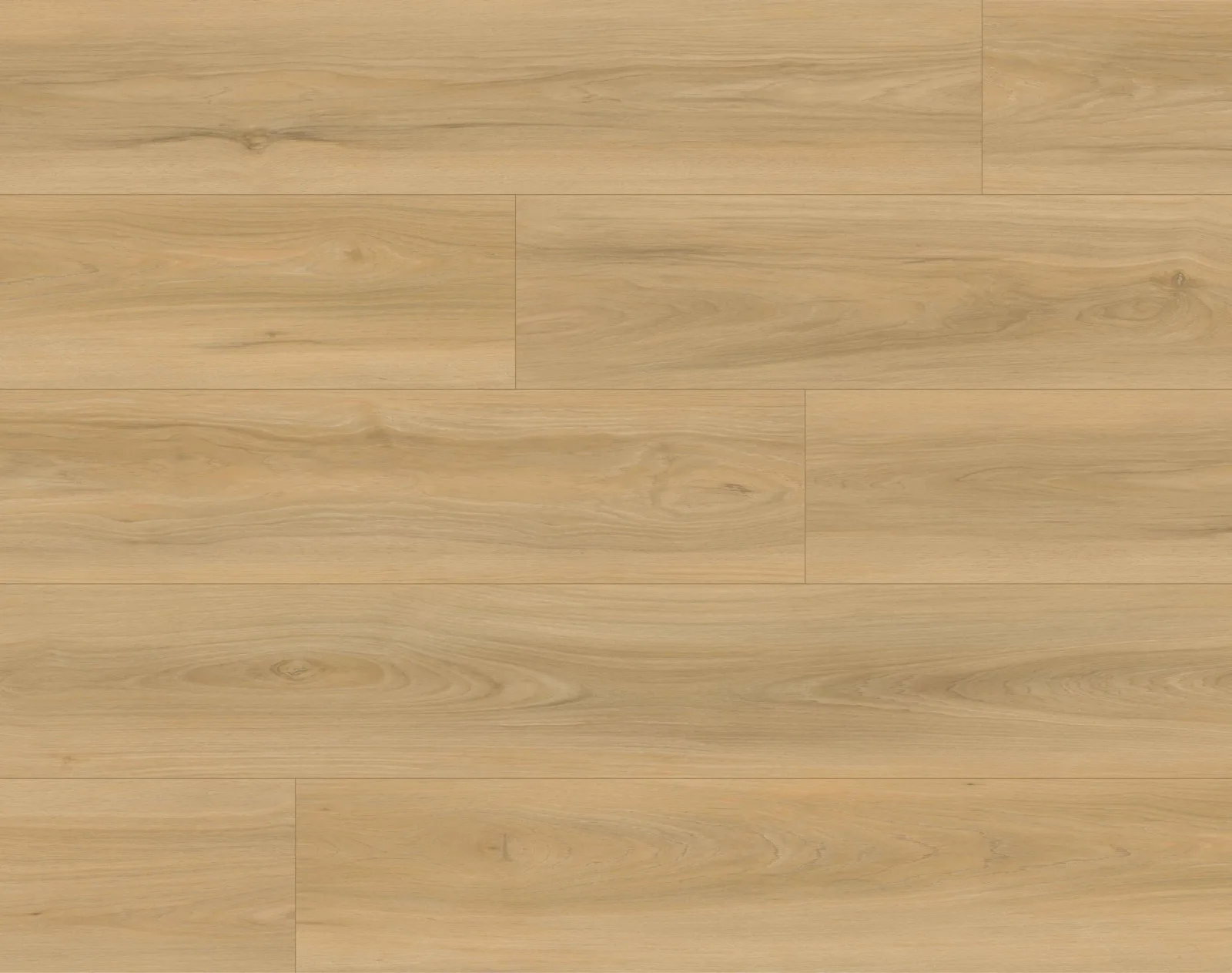 Woodland — En Bois Sundance