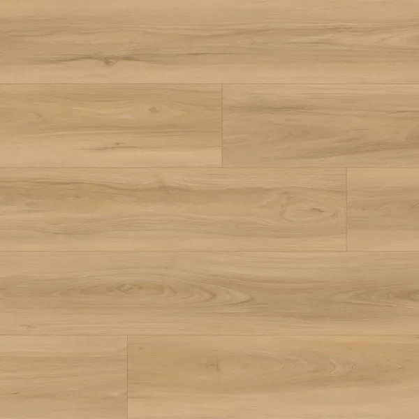 Woodland — En Bois Sundance