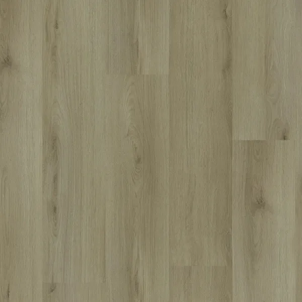 Limestone — Eternity EcoDense