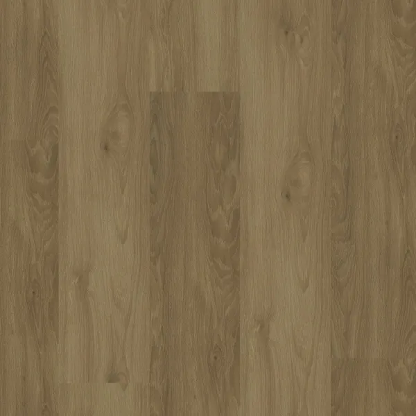 Silgo — Eternity EcoDense