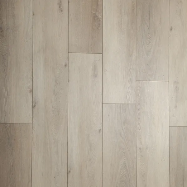 Merino Oak — Eternity Paladin