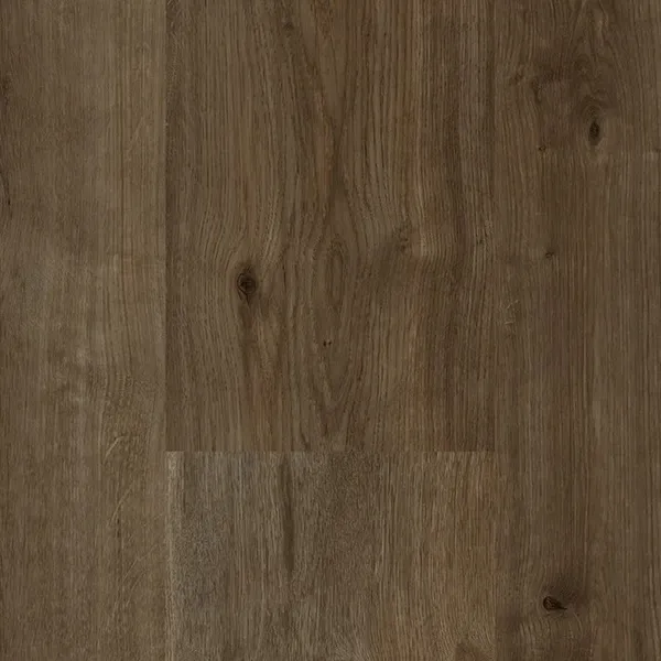 Alta Sierra — Eternity Sequoia XL