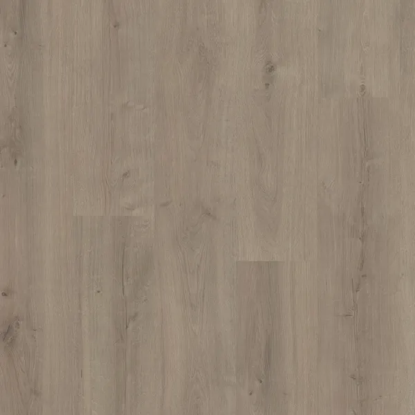 Cliff Creek — Eternity Sequoia XL