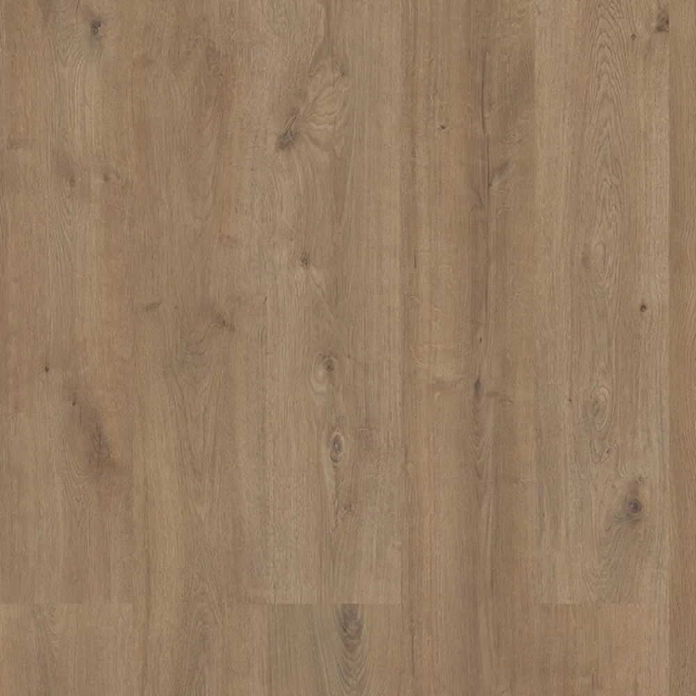 Eagle Scout — Eternity Sequoia XL