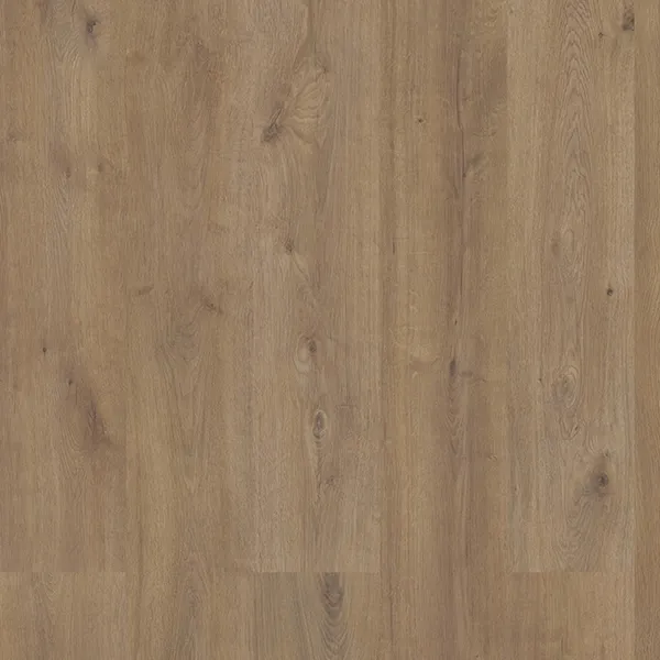 Eagle Scout — Eternity Sequoia XL