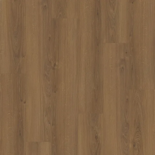 Carmel Oak — Eternity Voila 5G