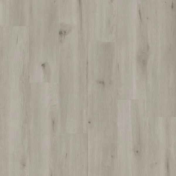 Ivory Oak — Eternity Voila 5G