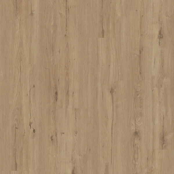 Lady Oak — Eternity Voila 5G