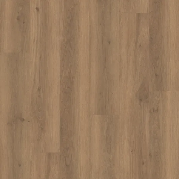 Spenser Oak — Eternity Voila 5G