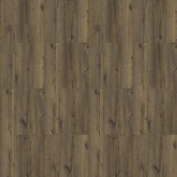 Western Oak — Eternity Voila 5G