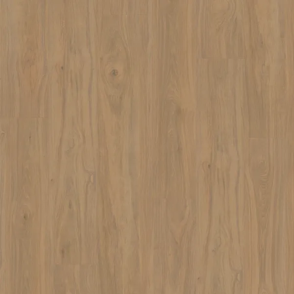 Yellowstone Hickory — Eternity Voila 5G