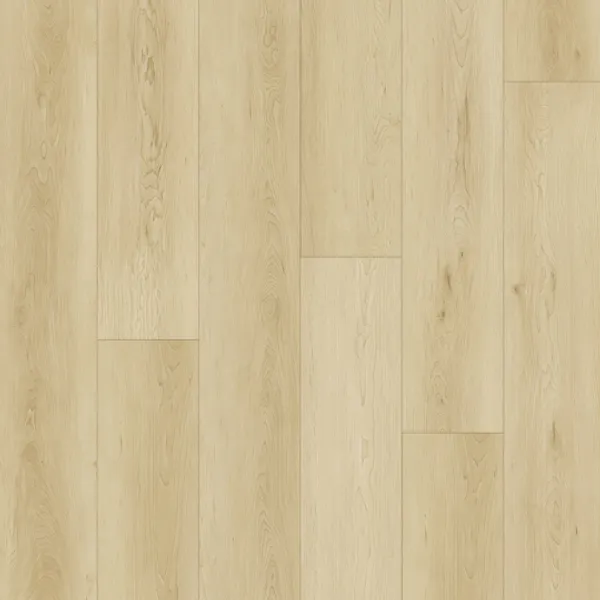American Maple — GAIA eTERRA - White Series