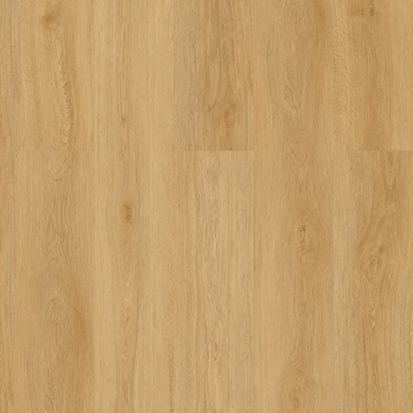 Sable — GAIA NearWood - White Collection