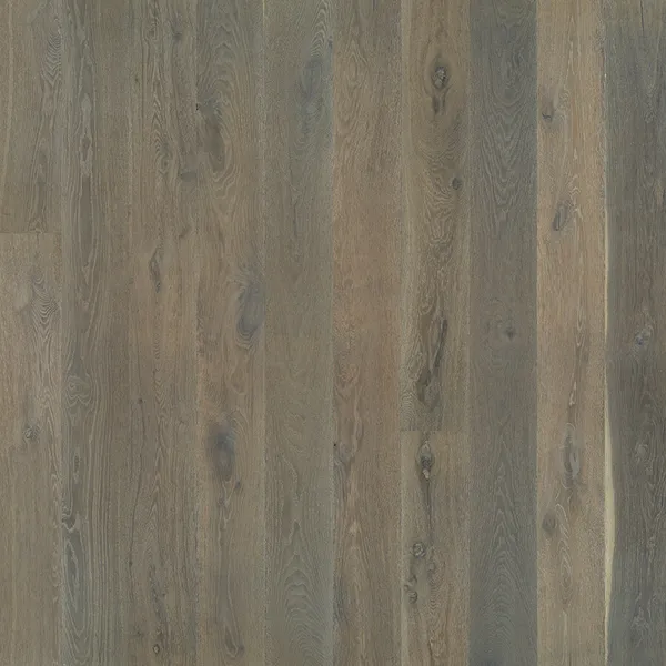 Big Sur Oak — Hallmark Alta Vista
