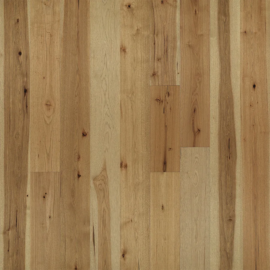 Belle Meade Hickory — Hallmark Avenue