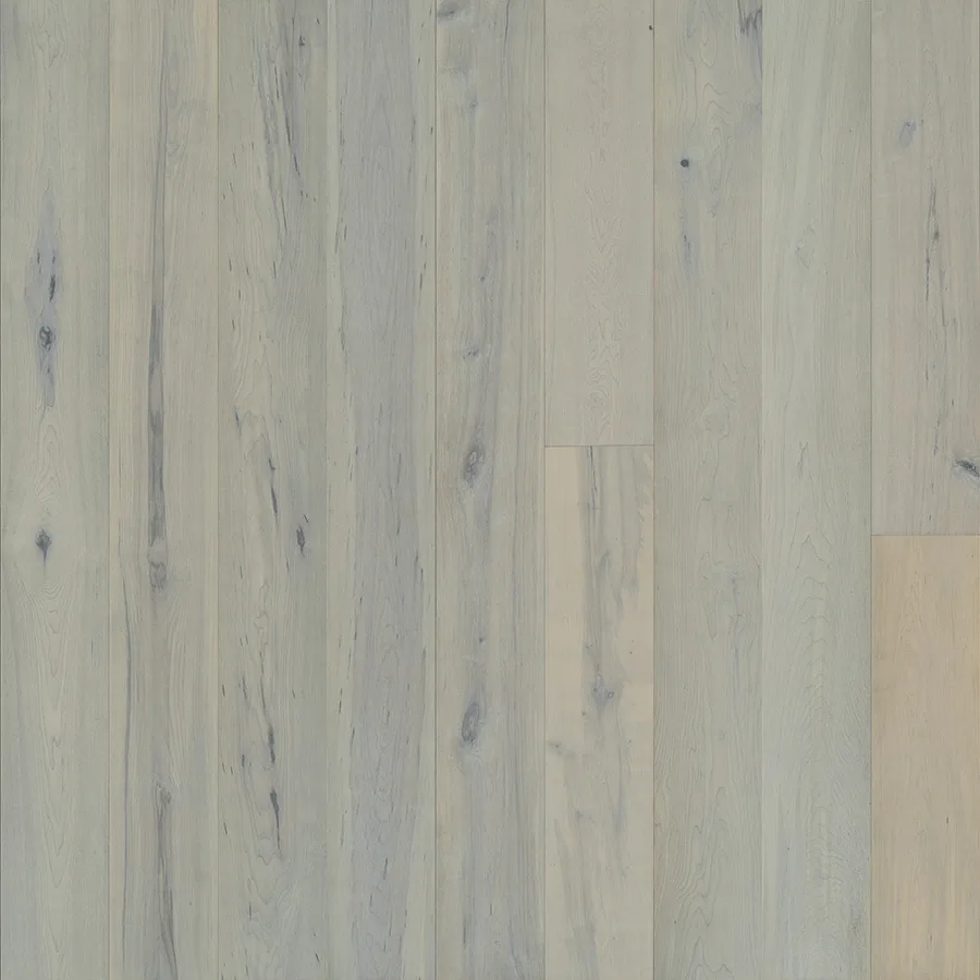 Lombard Maple — Hallmark Avenue