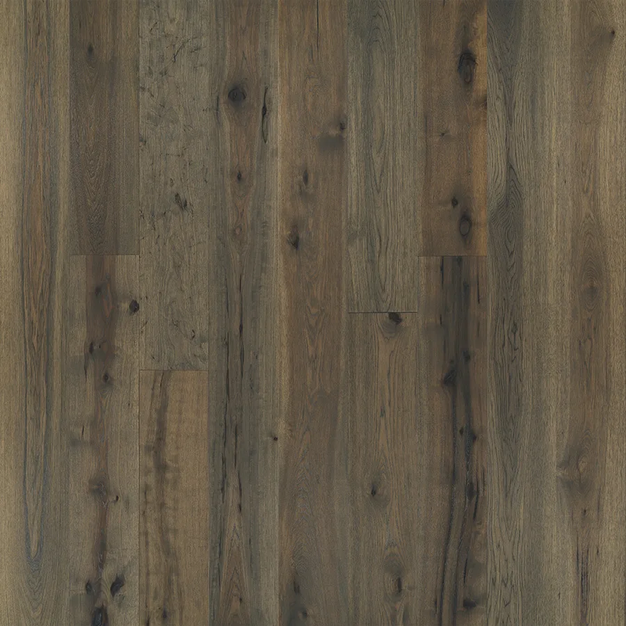 Michigan Hickory — Hallmark Avenue